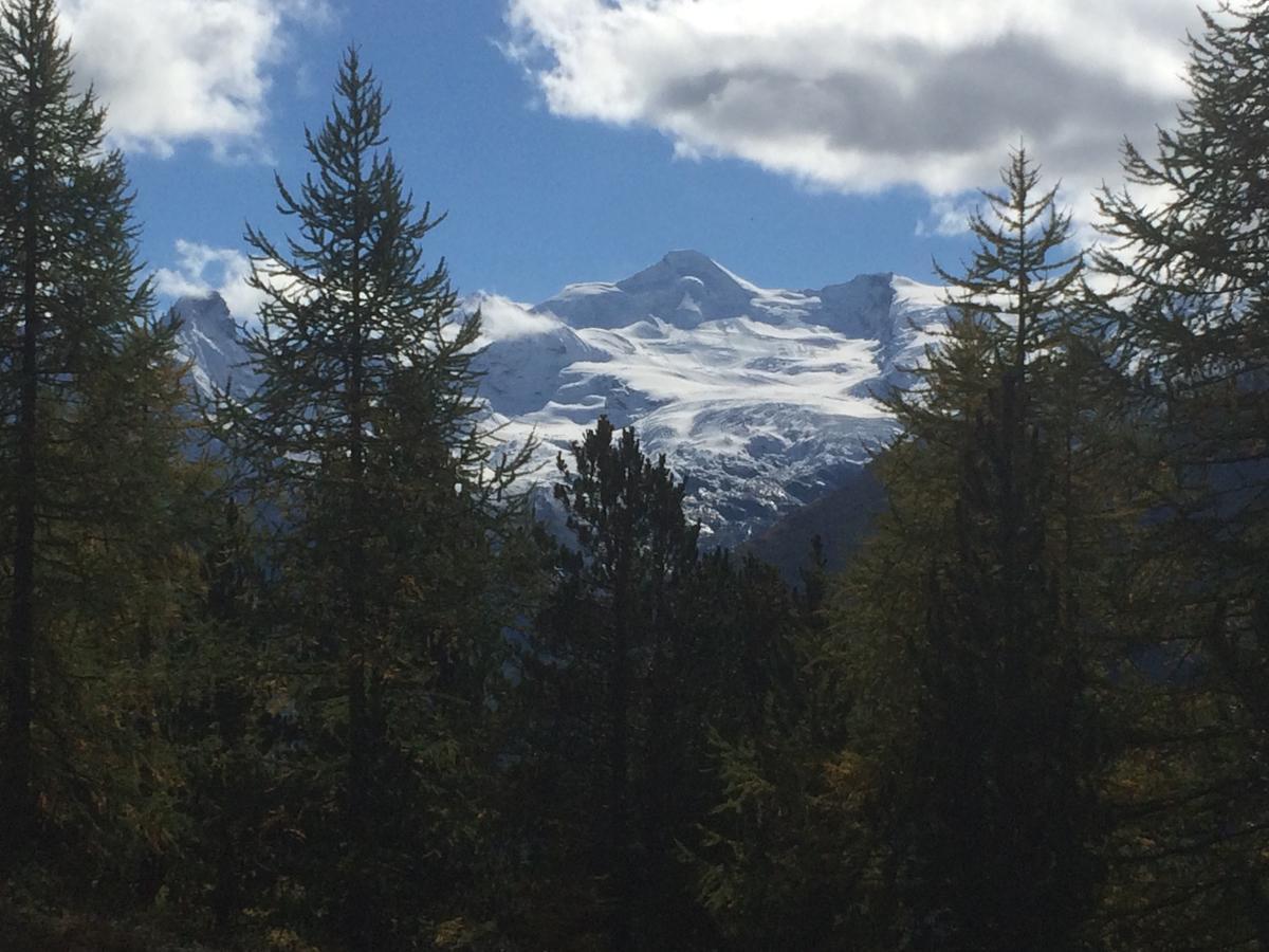 Ferienhaus Alea Saas-Grund Dış mekan fotoğraf